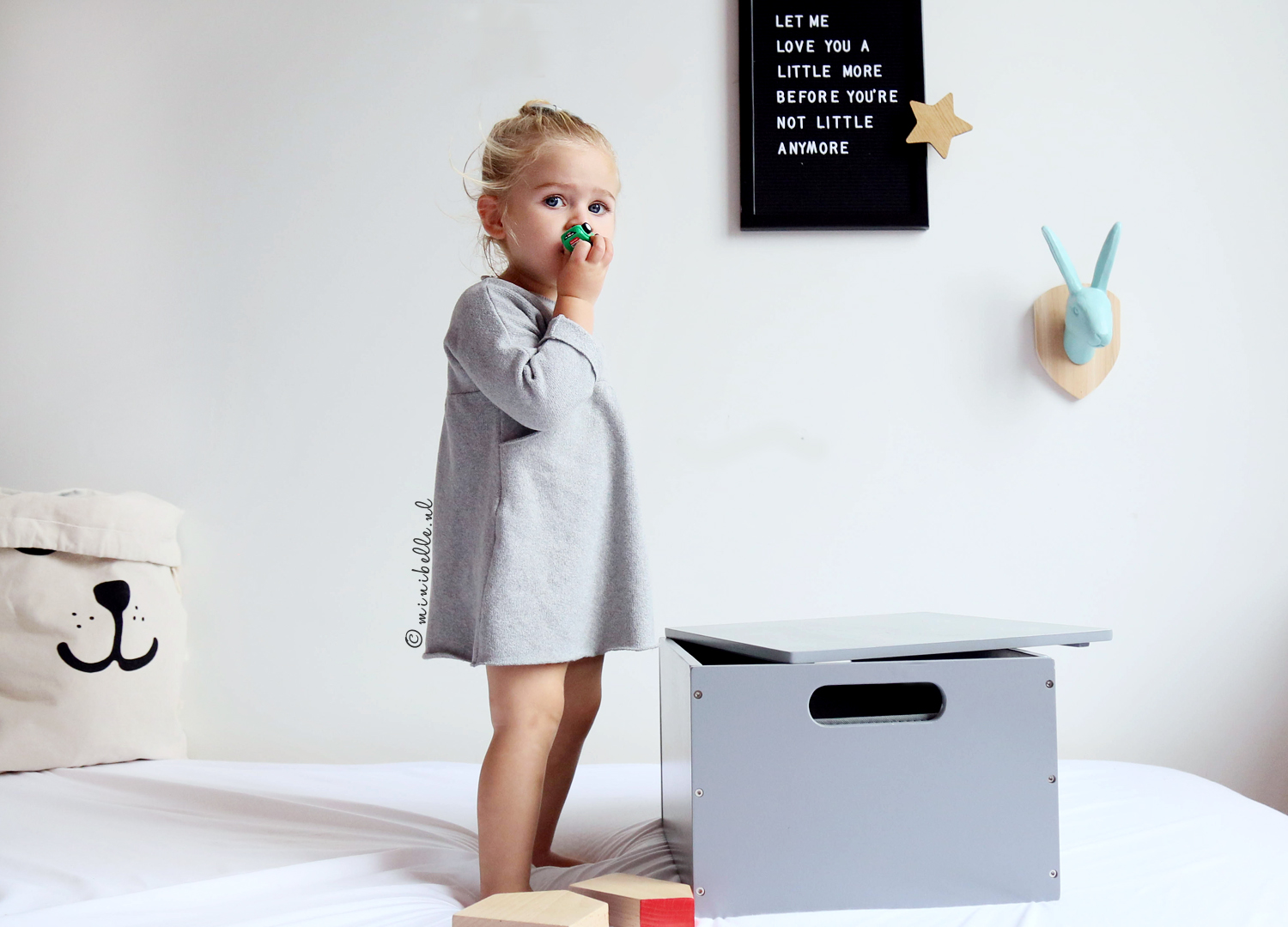 Tidy books: Netjes opbergen en ordenen van klein speelgoed