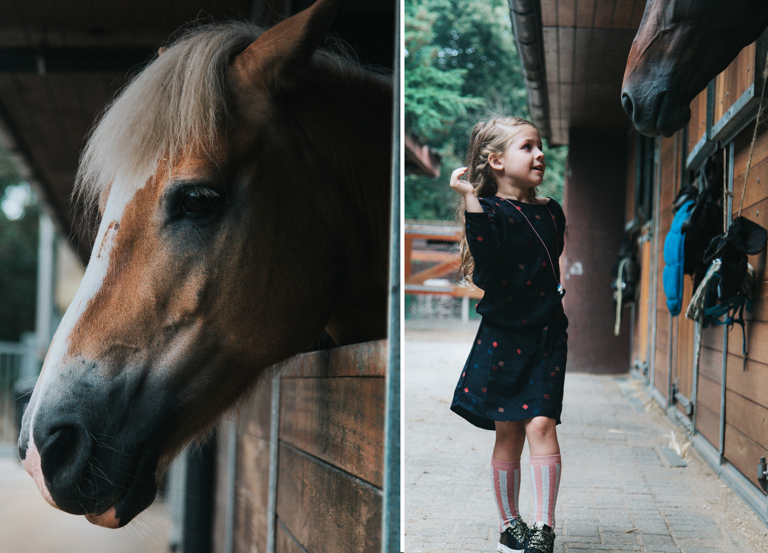 Een dagje uit dichtbij huis: bos, speeltuin en de paardenstal