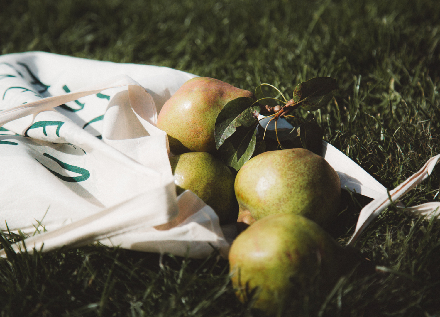 Een plakdagje bij landgoed Olmenhorst en Reeuwijk fruit en flowers